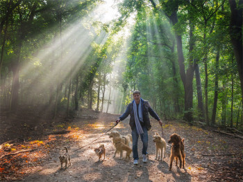 Hundetrainer Stefan Thal